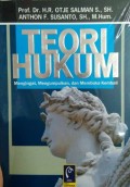 Teori Hukum